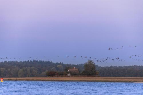 Ferienhäuser am Müritzarm - image 13
