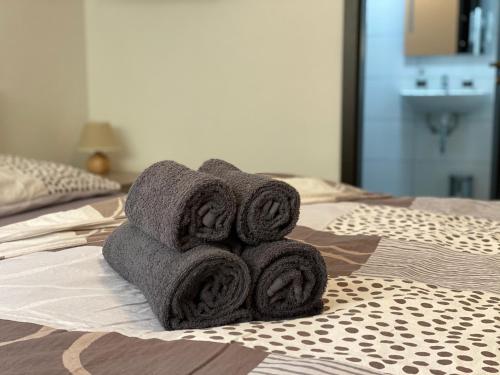 Penzion U Adama in 卡爾什特因