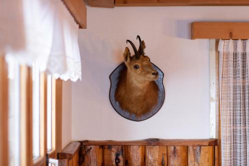 Berghotel Gaffia - image 14