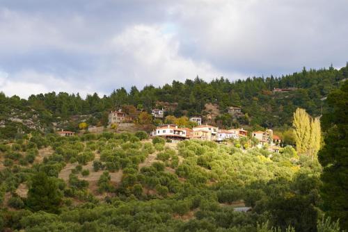 Alterra Vita Eco Villas