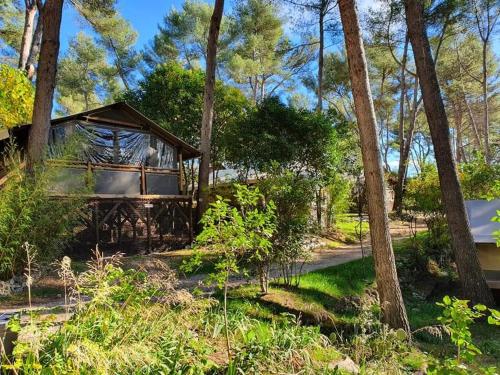 camp dachzelt Dachzelt Boundless