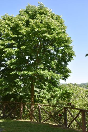 Agriturismo Belmonte