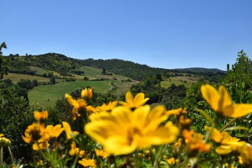 Agriturismo Belmonte