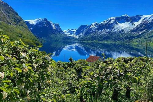 Flohytta, Stryn (fotografie 9)