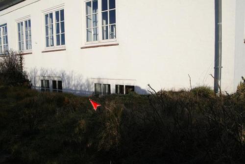 Pesel - image 8