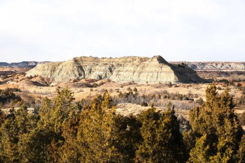 Surrounding environment, Roosevelt Suite Less Than 1 Mi to Teddy Roosevelt Park! in Medora (ND)