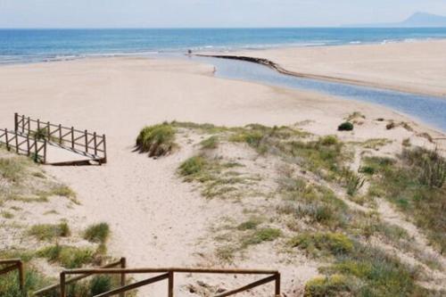 JUNCOS y LIRIOS Playa de Xeraco - image 2
