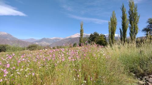 Iekārtas, Casa de Haydee in Cachi Adentro