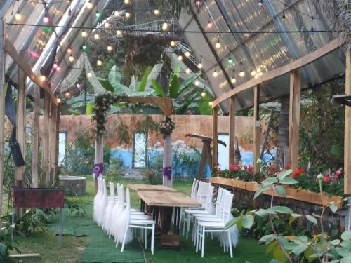 Homestay Đien Bien- Thung Lung Hoa Hong