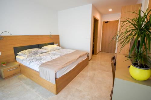 HOTEL BARON - image 10