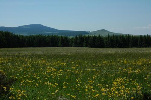 La Rose des Vents - image 13