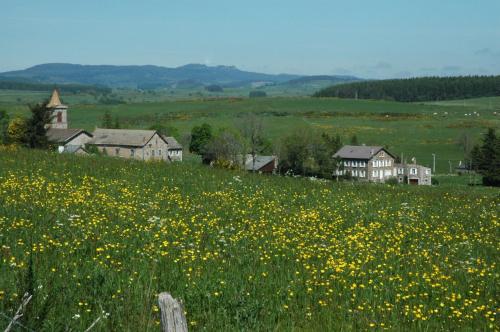 La Rose des Vents - image 10