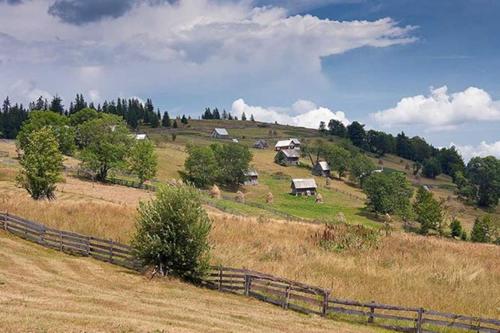 Pensiunea Scarisoara - image 13