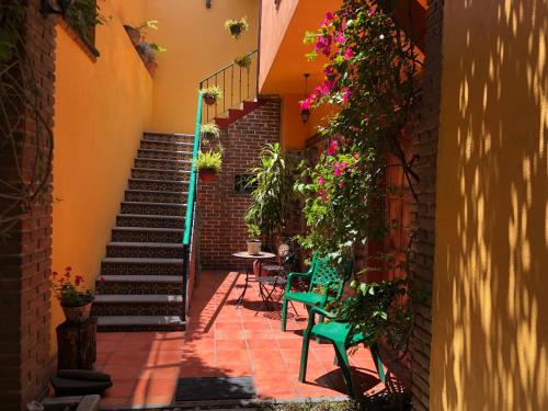 View, Maria Del Alma House in Coyoacán