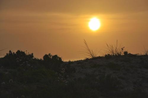 Casas da praia Supertubos - image 8