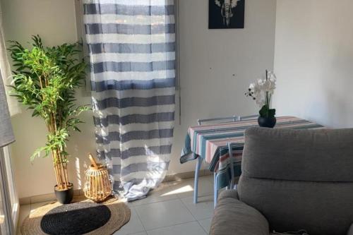 Large flat 15 minutes from the BEACH - image 5