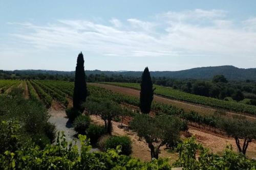 Charmant appartement T2 au coeur des vignes