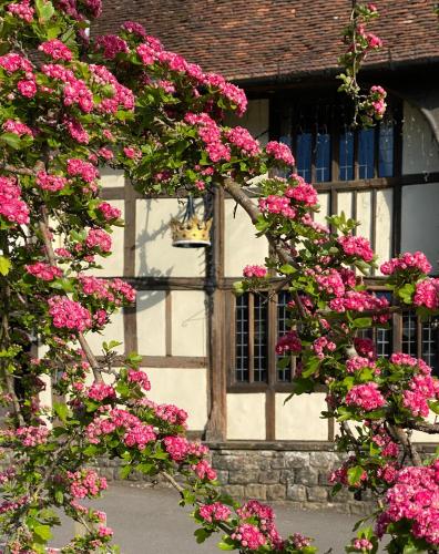 294424284 The Crown Inn