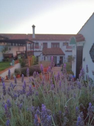 Casona Del Duende - image 3