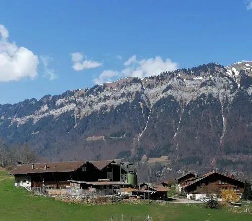 Brunners harzerhof in Iseltwald, Schweiz