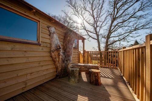 Oakside Tree Tops - image 7