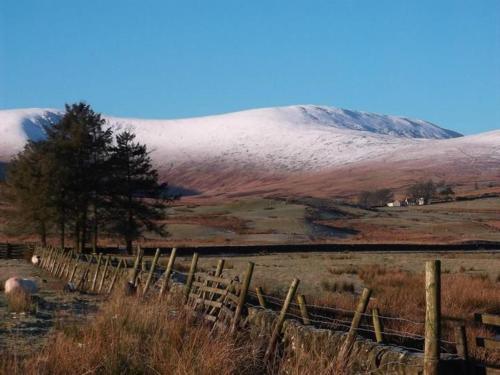 The Knowe B&B