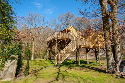 Oakside Tree Tops - Accommodation - Canterbury