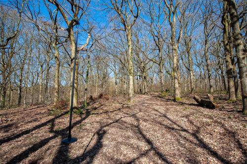Oakside Tree Tops - image 12