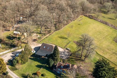 Oakside Tree Tops - image 8