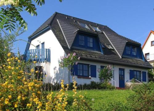 Seebär in Ahrenshoop, Deutschland