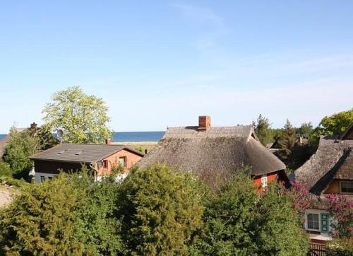 Seebär, Ahrenshoop (photo 10)