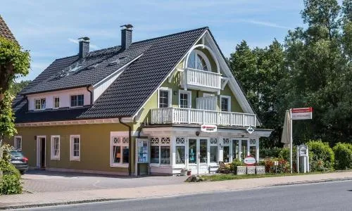 Mädesüß 01 in Ahrenshoop, Deutschland