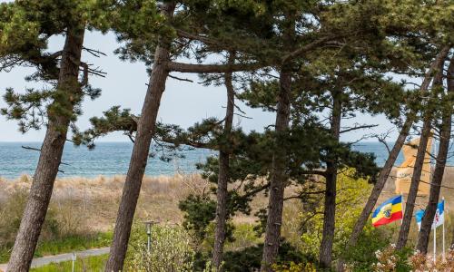 Strandidyll, Ahrenshoop (fotografie 9)
