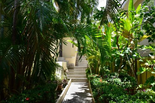 Angelot Villa 2