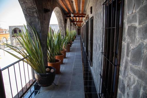 Hotel Vitorina Cholula in Cholula, Mexico