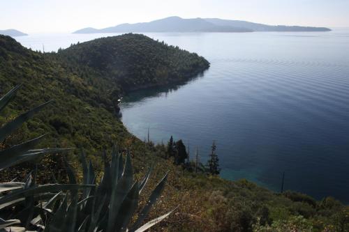 Apartment Lucija with sea view in Brsecine