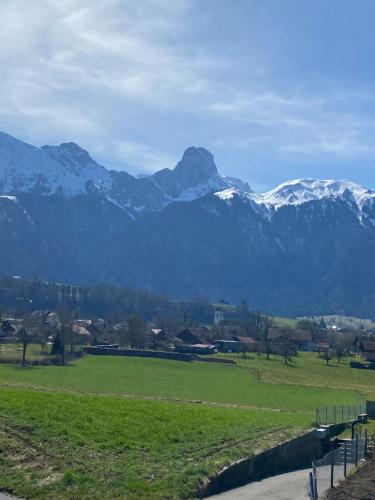 FeWo-Studio Linde in Les Diablerets