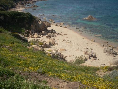 Demeure traditionnelle en pierre avec piscine