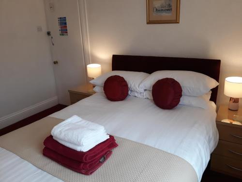 Montrose Guest House - image 9