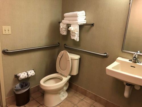 Quality Inn & Suites Skyways - image 2