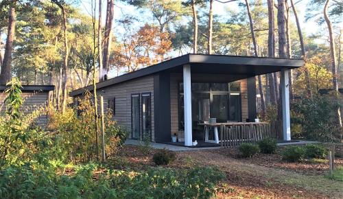  Natuurhuisje Pine & Oak 6 persoons in Hardenberg
