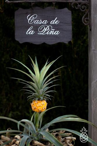 Casa de la Piña