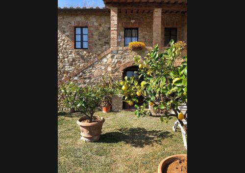 Casalgallo 5