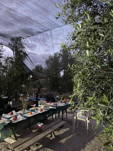 אוהל הזית, Maʼor (foto 8)