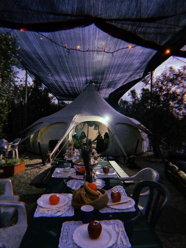 אוהל הזית, Maʼor (foto 7)