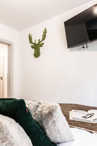 Apartament Nosal 2 Droga na bystre Zakopane, Zakopane (fotografie 6)