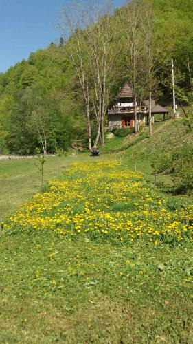 Holiday bungalows Pajkovir