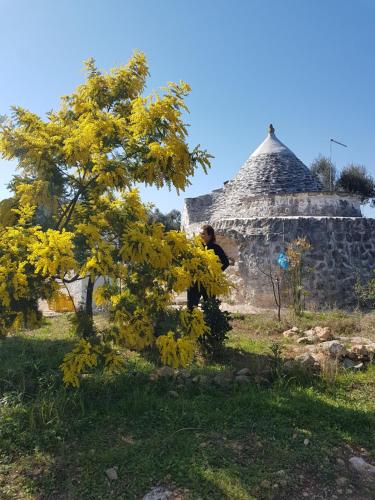 Trullo magico Trullo magico
