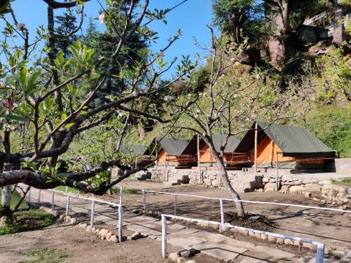 Himtrek RiverSide Camps & Hostel Manali