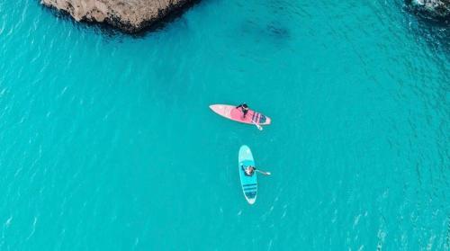 The Rosewood Torquay Torquay United Kingdom